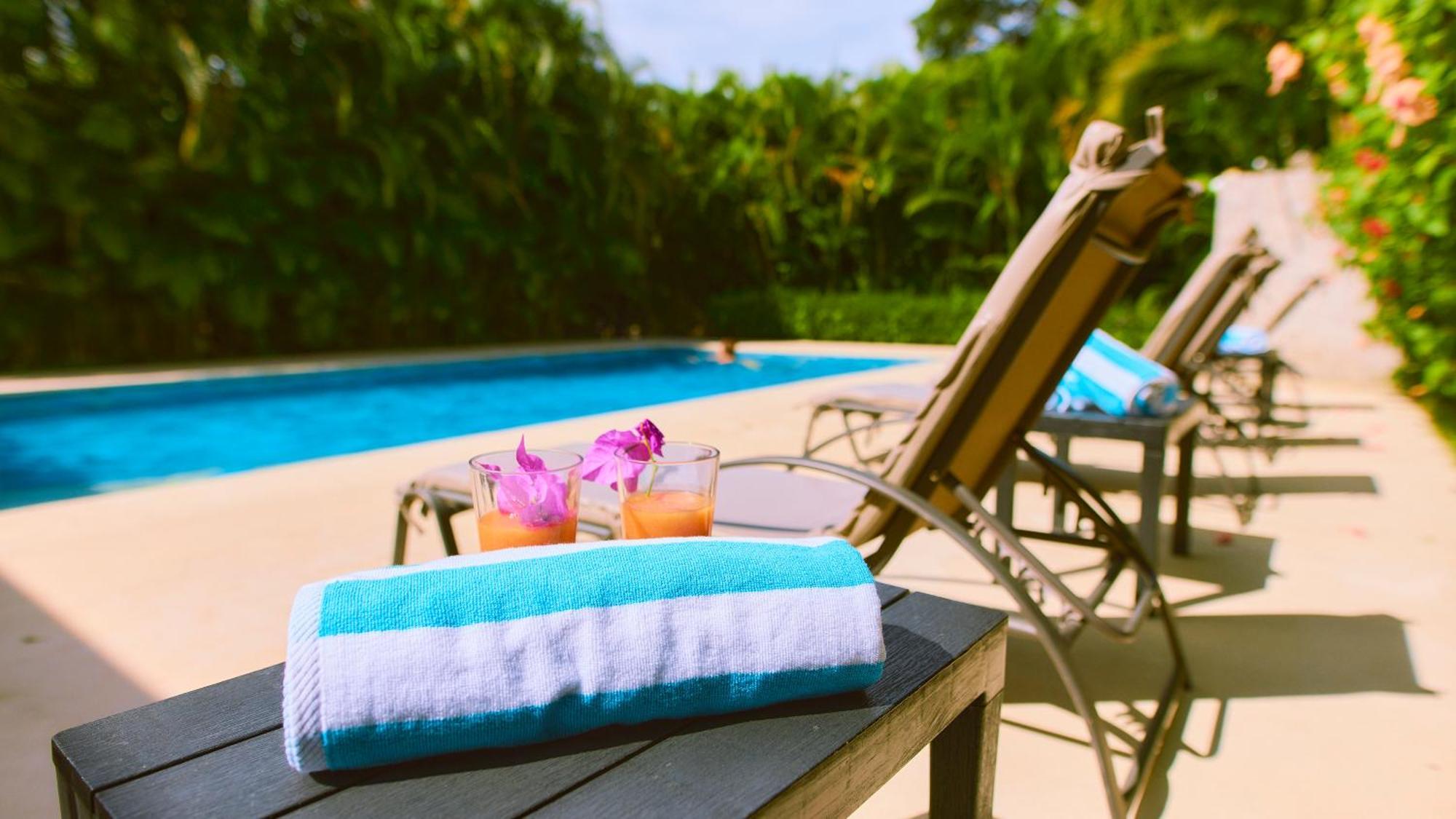 La Tica Y La Gata Hotel Puerto Viejo de Talamanca ภายนอก รูปภาพ