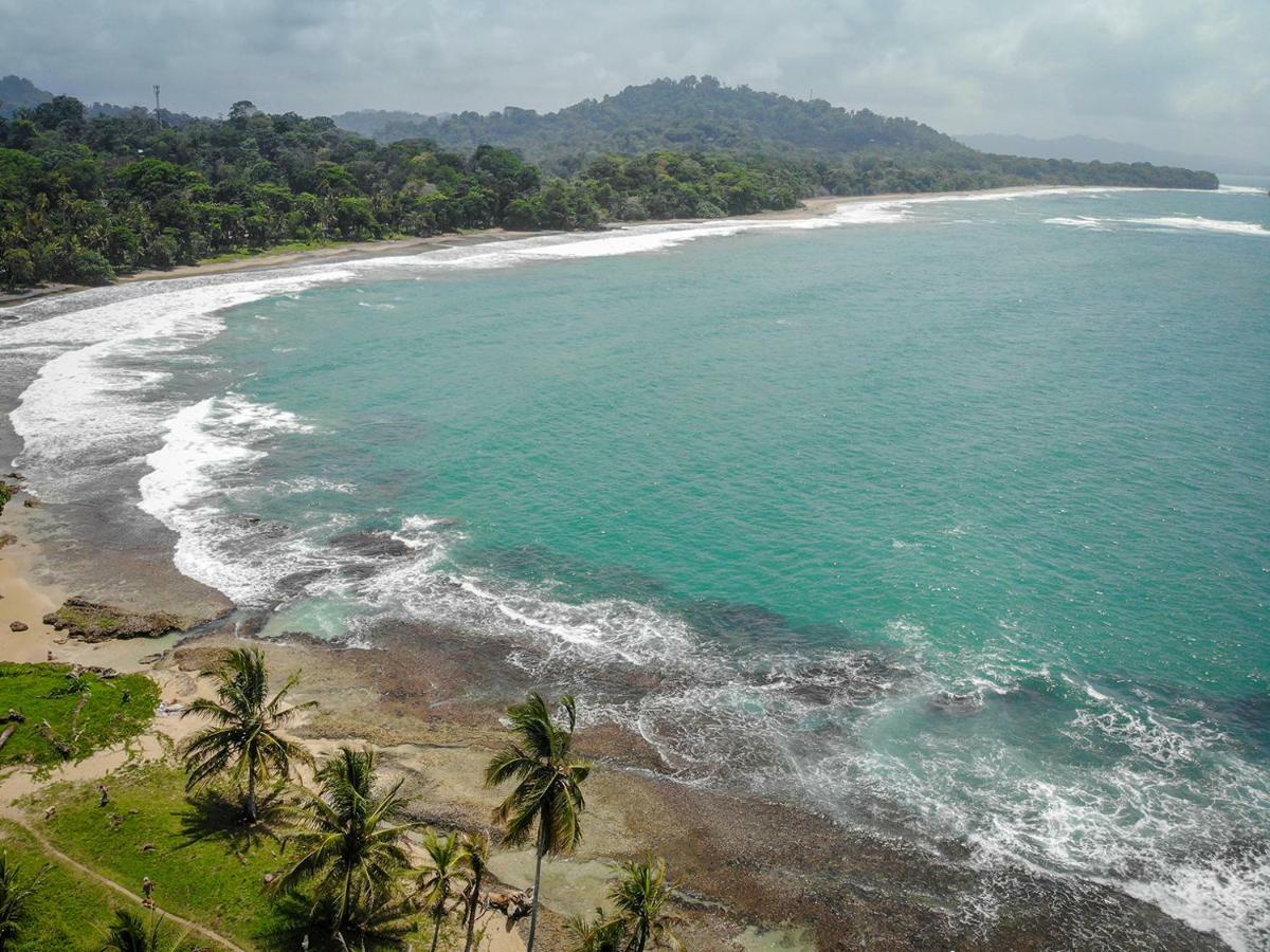La Tica Y La Gata Hotel Puerto Viejo de Talamanca ภายนอก รูปภาพ