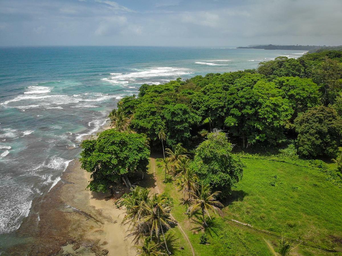 La Tica Y La Gata Hotel Puerto Viejo de Talamanca ภายนอก รูปภาพ